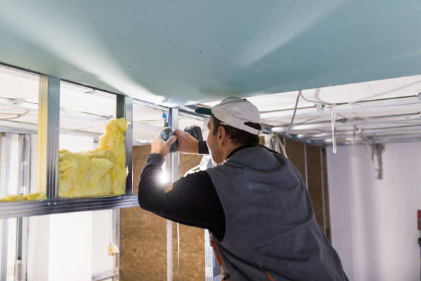 Best Insulation Contractor Near Me  in Eureka, IL