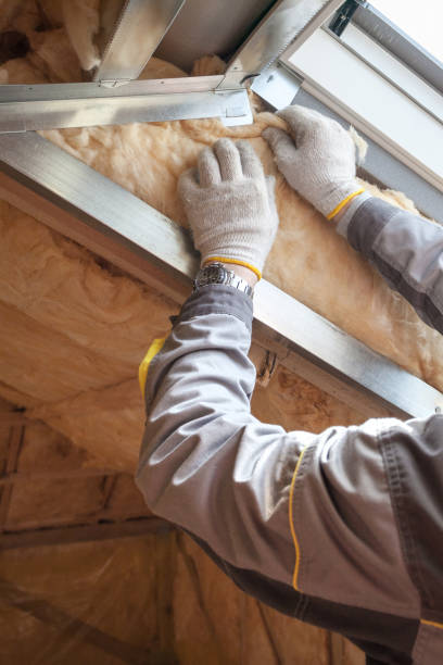 Best Insulation Removal  in Eureka, IL