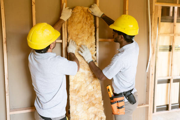 Best Best Insulation Companies  in Eureka, IL