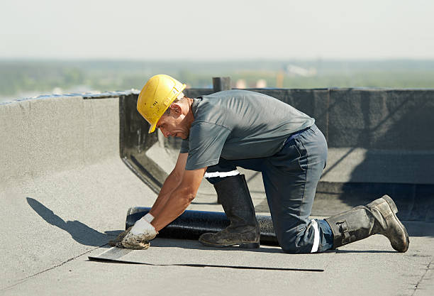 Best Wall Insulation Contractor  in Eureka, IL