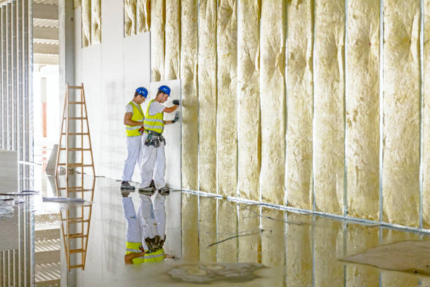 Best Cellulose Insulation  in Eureka, IL